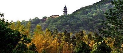 牛首山森林公园位于南京市南郊风景区江宁区境内,由牛首山,祖堂山