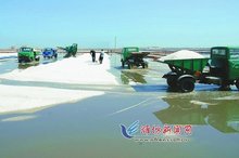 山东羊口盐场