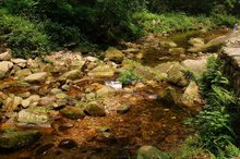 广州到张家界自驾游攻略网