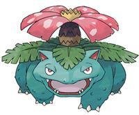 《口袋妖怪叶绿中文版》最新版