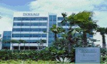 欧洲工商学院insead