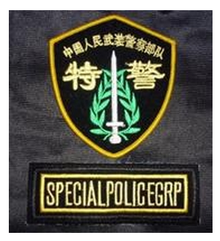 中国人民武装警察部队反恐特种部队_360百科