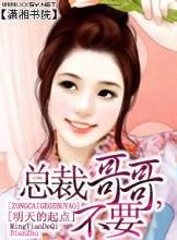 总裁哥哥我不要