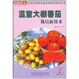 温室大棚番茄栽培新技术