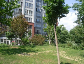 上地西里颂芳园