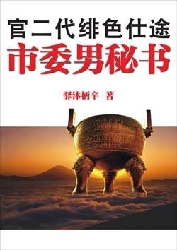 草根男浮沉利欲场:市委男秘书