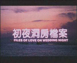 Love movie - 洞房初夜