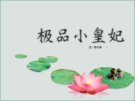 极品小皇妃