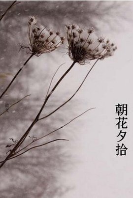 朝花夕拾主要内容_360百科