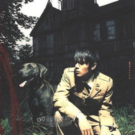 德国魏玛犬_360百科