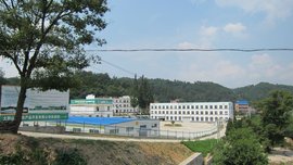 金寨县大别山生态农产品开发有限公司