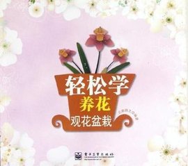 六年级上-小学数学丢分题