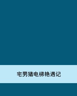 宅男猪电梯艳遇记
