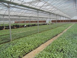 盐城世界之窗现代农业示范园区