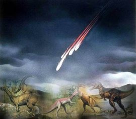 被子植物中毒说