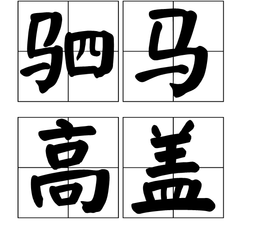 驷马高盖