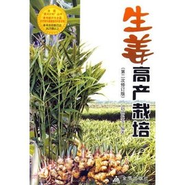 生姜高产栽培_360百科