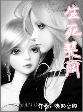 hp同人之生死契阔