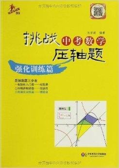 挑战中考数学压轴题:强化训练篇