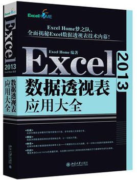 Excel2013数据透视表应用大全