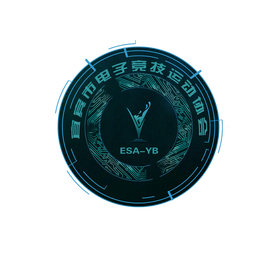 宜宾市电子竞技运动协会