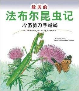 最美的法布尔昆虫记:冷面剪刀手螳螂