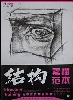 结构素描范本:石膏五官结构素描