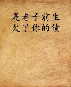 是老子前生欠了你的债
