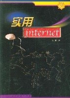 实用Intrnet