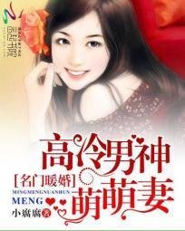 名门暖婚:高冷男神萌萌妻