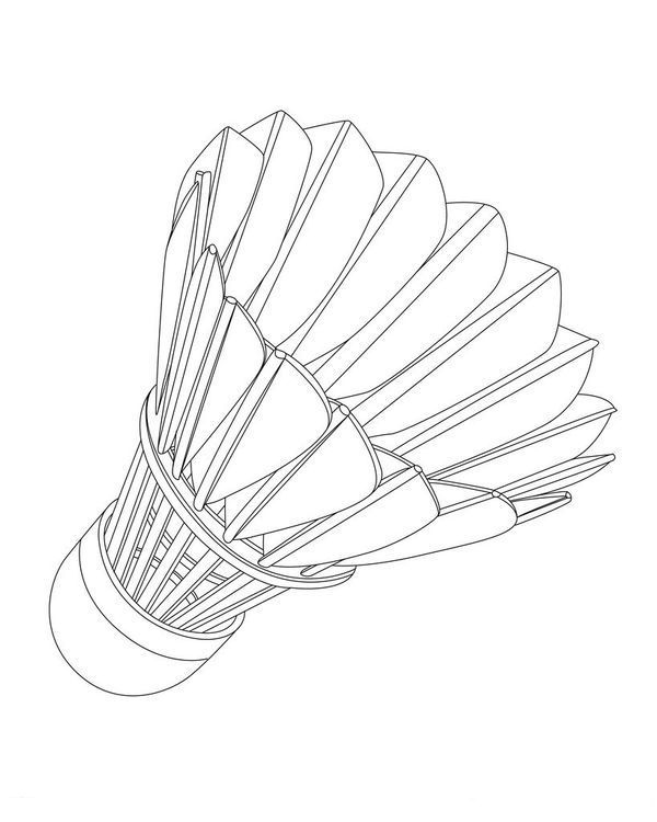 羽毛球的规格是几根毛啊!_360问答