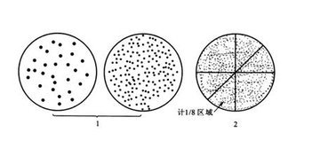 平板菌落计数法