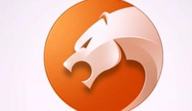 互联网巨头公司遭到的惨痛教训你绝对想不到