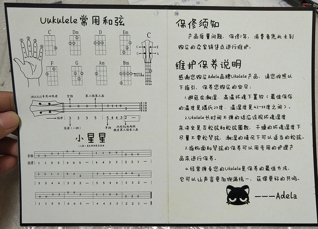 请问有新手入门ukulele尤克里里小星星指教程吗?