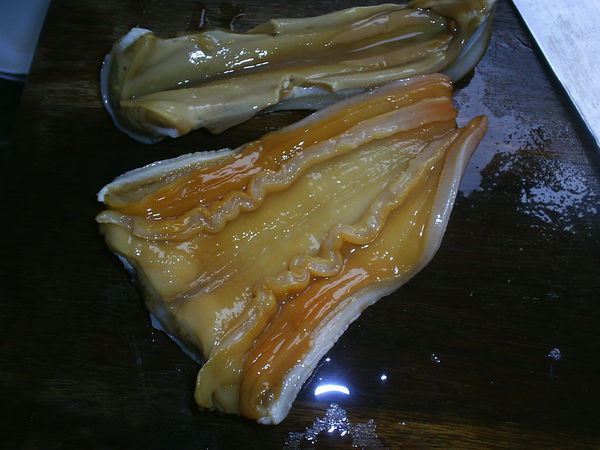 生吃象牙蚌的切法式_360问答