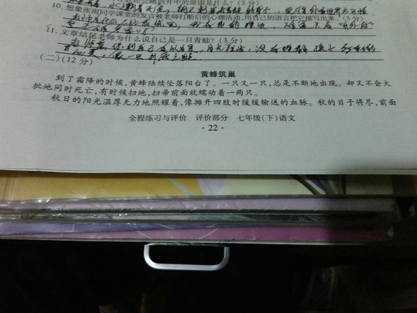 黄蜂筑巢阅读答案_360问答