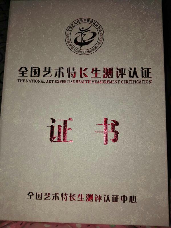 有谁知道全国艺术特长生测评认证发的舞蹈等级