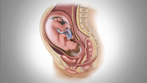 前置胎盘_360百科