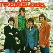 the tremeloes