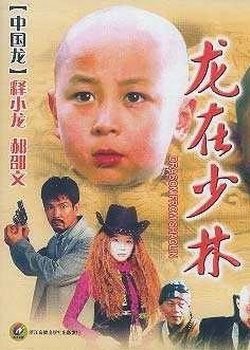 《龙在少林》是由冯世雄执导,元彪,释小龙,郝邵文等人主演的一部喜剧