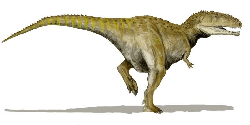 mapusaurus)意為