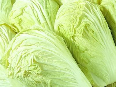 白菜_360百科